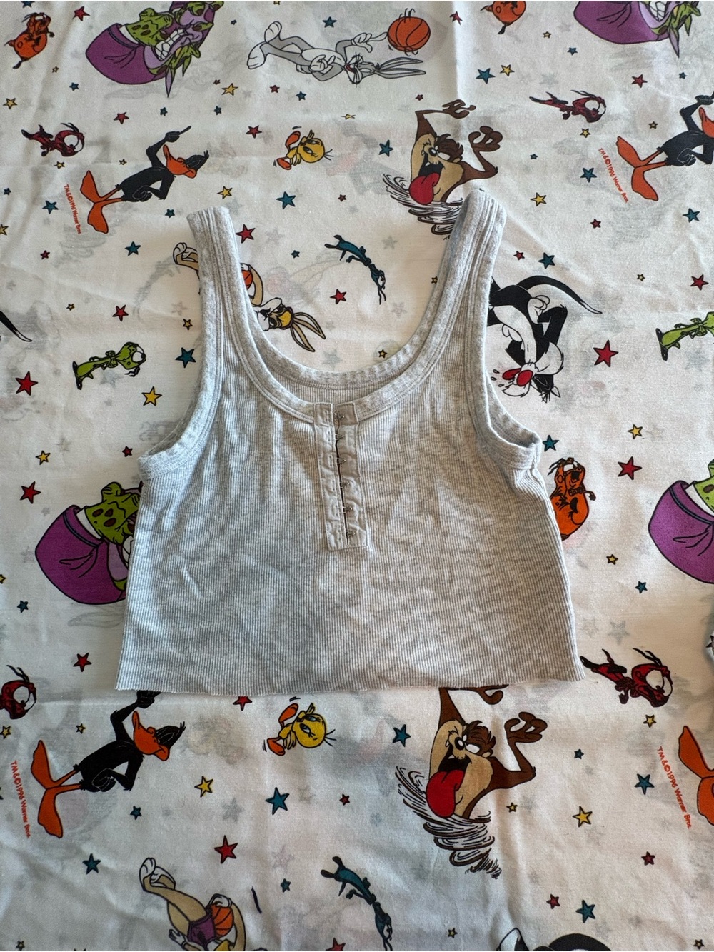 aerie Gray Ribbed Crop Tank Top
